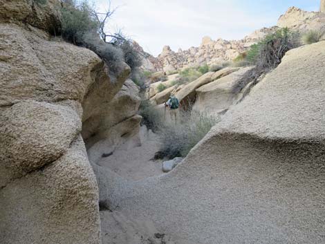 Grapevine Canyon