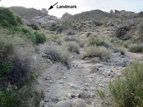 Grapevine Canyon