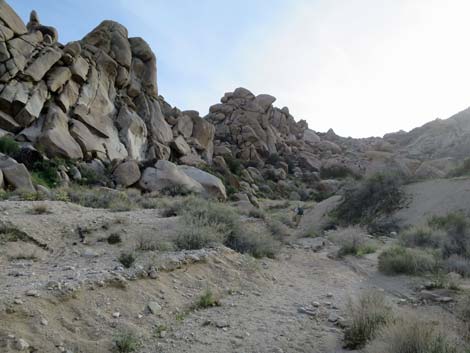 Grapevine Canyon