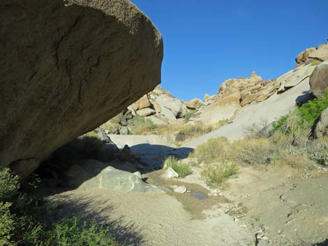 Grapevine Canyon