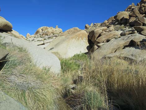 Grapevine Canyon