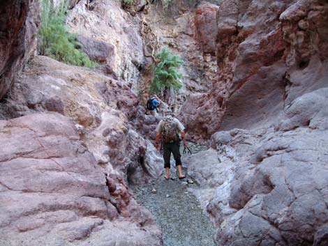 Arizona Hot Spring