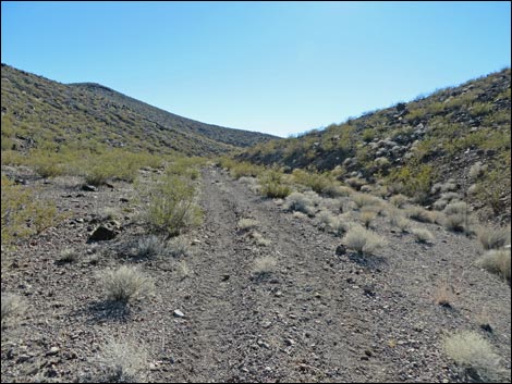 Lonesome Wash Overlook