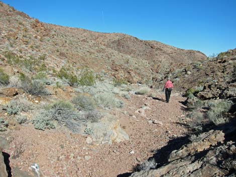 Many Falls Canyon