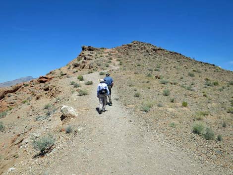 Northshore Summit Trail