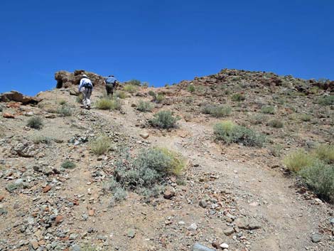 Northshore Summit Trail