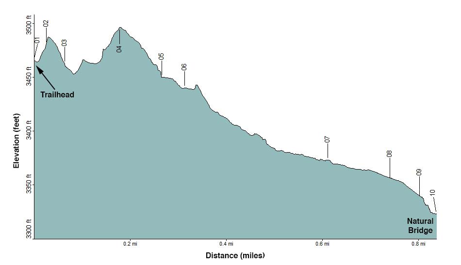 Natural Bridge Elevation Profile