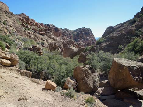 Natural Bridge