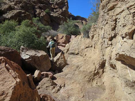 Natural Bridge