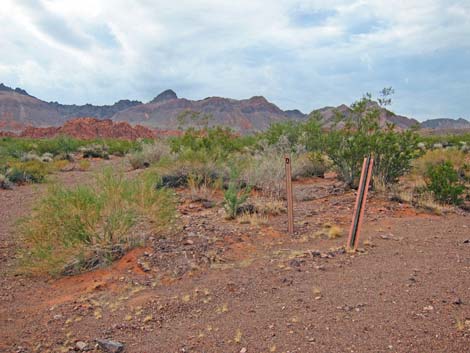 Bittersprings Campground