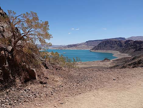 Railroad Tunnels Trail