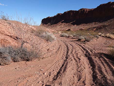 Red Needle Trail