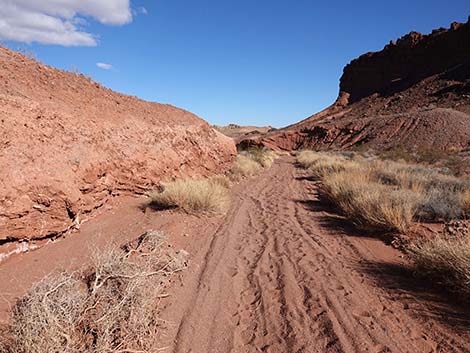 Red Needle Trail