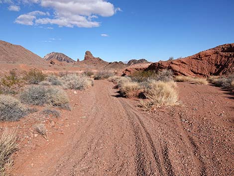 Red Needle Trail