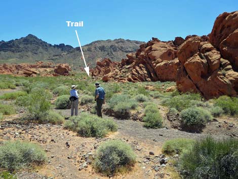 Redstone Dune Loop Trail