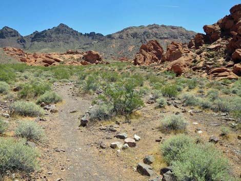 Redstone Dune Loop Trail