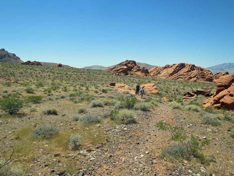 Redstone Dune Loop Trail