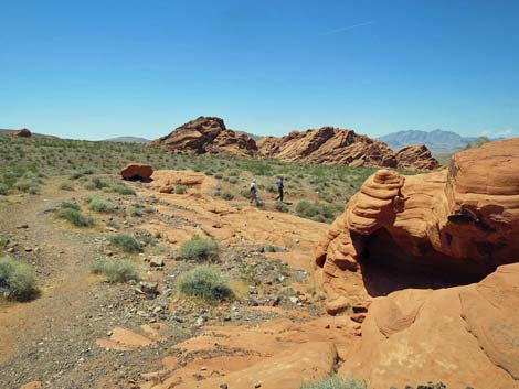 Redstone Dune Loop Trail