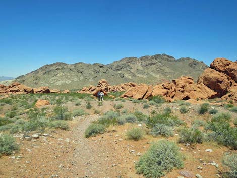 Redstone Dune Loop Trail