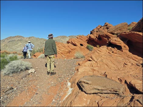 Redstone Dune Trail