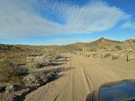 Boy Scout Canyon Road