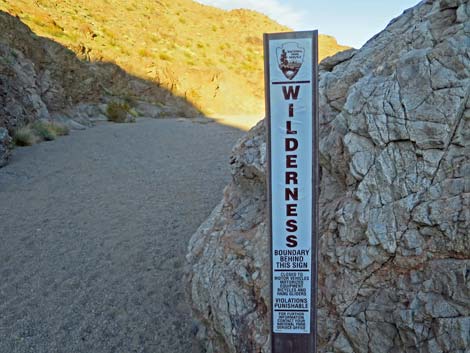 Boy Scout Canyon Road