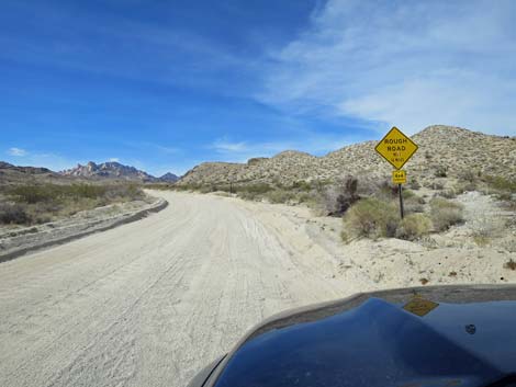 Christmas Tree Pass Road