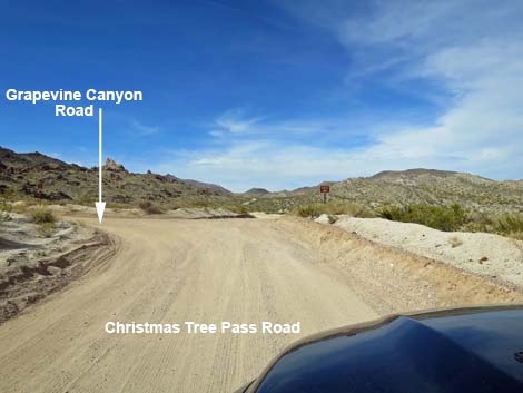 Christmas Tree Pass Road