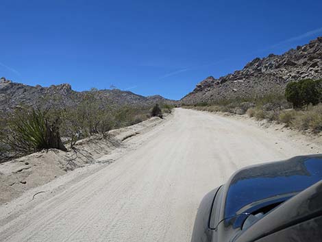 Christmas Tree Pass Road