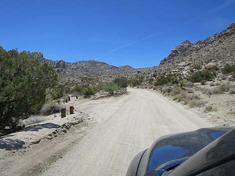 Christmas Tree Pass Road