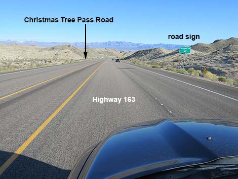 Christmas Tree Pass Road