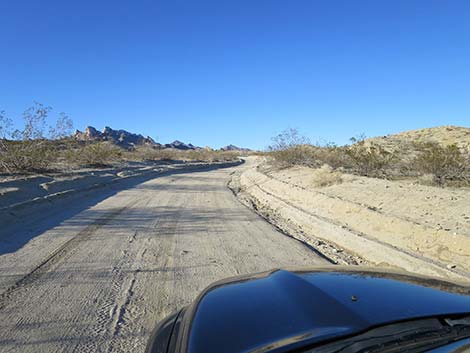 Christmas Tree Pass Road