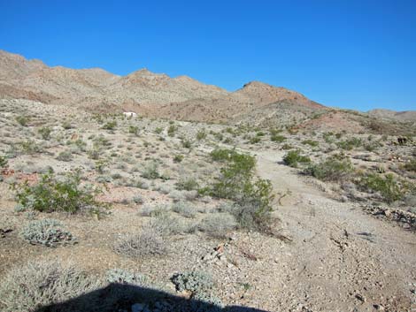 Rockefeller Mine Road