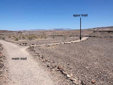 Wetlands Trail