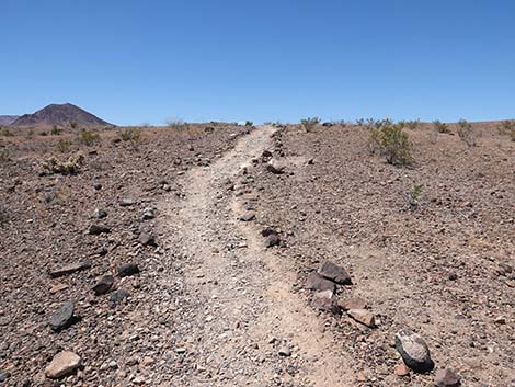 Wetlands Trail