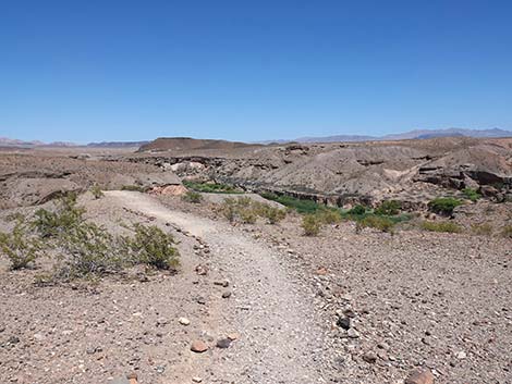 Wetlands Trail