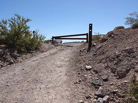 Wetlands Trail