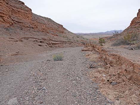 White Owl Canyon