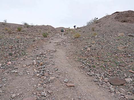 White Owl Canyon