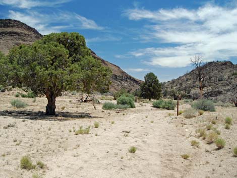 Barber Loop Trail