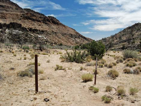 Barber Loop Trail