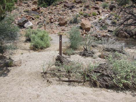 Barber Loop Trail