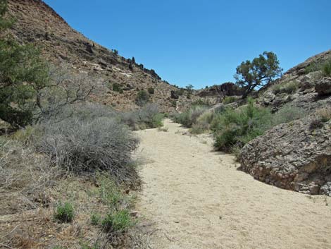 Barber Loop Trail