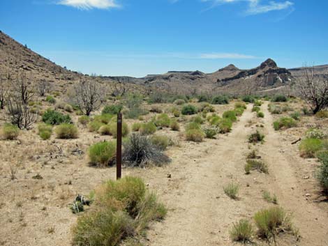 Barber Loop Trail