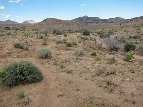 Barber Loop Trail