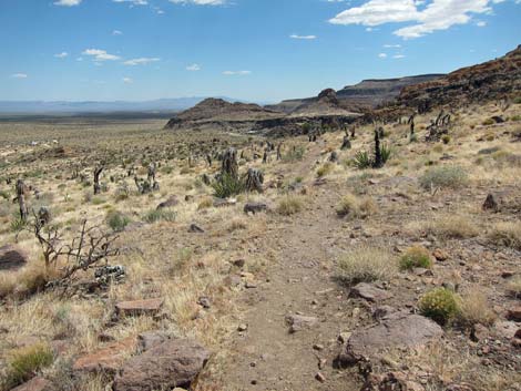 Barber Loop Trail