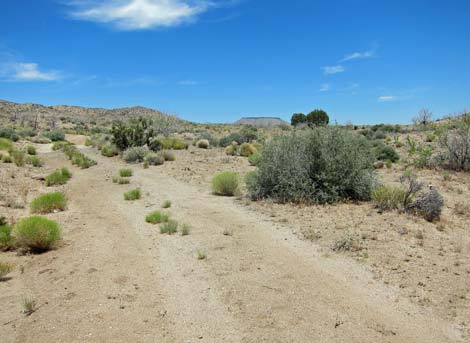 Barber Loop Trail