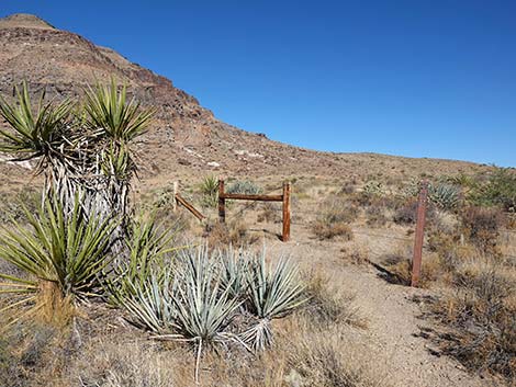 Barber Loop Trail