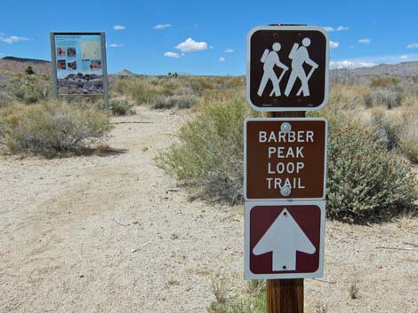 Barber Loop Trail