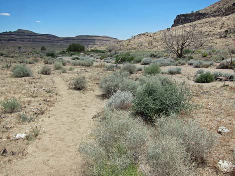 Barber Loop Trail